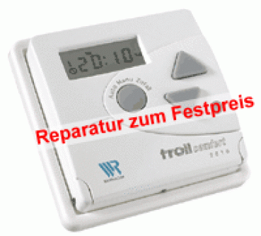 Reparatur Rademacher Troll 2610